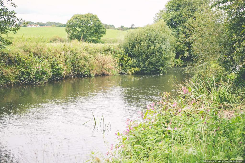 Weycroft Mill House Bed And Breakfast Axminster Bagian luar foto