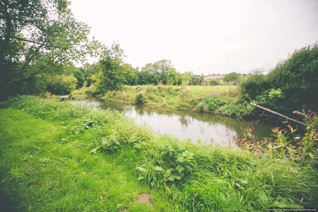 Weycroft Mill House Bed And Breakfast Axminster Bagian luar foto
